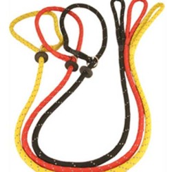Dog Leads